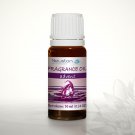 Advent - Fragrance Oil 10ml …