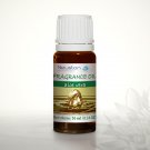 Aloe Vera - Fragrance Oil 10ml …
