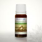 Betlehem - Fragrance Oil 10ml …