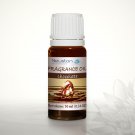 Chocolate - Fragrance Oil 10ml …