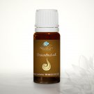 Ground nut - Pure Base Oil 10ml