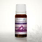 Violet - Fragrance Oil 10ml …