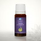 Evening primrose - Pure Base Oil 10ml