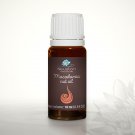 Macadamia nut - Pure Base Oil 10ml