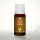 Apricot kernel oil  - Pure Base Oil 10ml