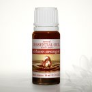 Clove orange - Fragrance Oil 10ml …