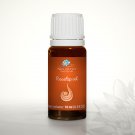 Rosehip oil  - Pure Base Oil 10ml