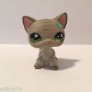 Littlest Pet Shop Shorthaired Cat #483  RETIRED 2006