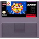 Animaniacs – (Super Nintendo, SNES) – Reproduction Video Game Cartridge