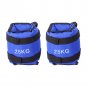 1Pair Adjustable Ankle Weights Pair Running Wrist Arm Gym Leg Exercise Blue New