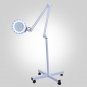 5X/8X Desk Clamp Mount Magnifier Floor Stand Lamp Magnifying Lens Diopter US