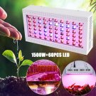 600W/1000W/1200W/1500W LED Grow Light Full Spectrum Veg Flower Indoor Plant Hot