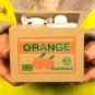 Cute Lovely Automated Stealing Coins Cat Saving Money Box Piggy Bank Best Gift