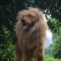 Dog Lion Mane Costume Funny Dog Lion Wig for Large Dogs Cosplay Christmas Easter