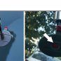 Car Windscreen Windshield Glass Repair Kit Tool for Chip Crack Star Bullseye