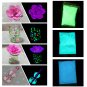 Fluorescent Neon UV Black Light Visible Powder Pigment
