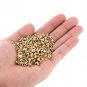 1000x Beekeeper Beekeeping Beehive Bee Hive Brass Frame Eyelets Equipments Tools
