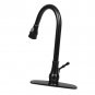 Kitchen Faucet Single Handle Pull Out Kitchen Faucet Pull down sprayer 2 Model