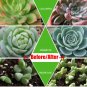 1400W led grow light Red spectrum panel Hydro veg plant seeding blooming lamp US