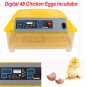 Automatic 48 Digital Egg Incubator Hatcher Turning Chicken Temperature Control