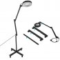 5x Diopter Rolling Floor Stand Magnifier Lamp Glass Magnifying Facial Adjustable