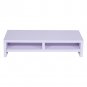 Computer Monitor Riser Desk Table LED TV Stand Shelf Desktop Storage Organizer