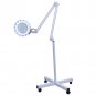 New 5X Magnifier Lamp Light Rolling Floor Stand For Beauty Facial Spa Machine