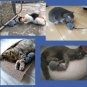 Wireless Remote Control Simulation Plush Mouse Mice Kids Toys Xmas Gift Cat Dog