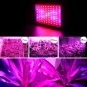 1000W Full Spectrum 100LED Plant Grow Light Hydroponics Veg Flowering Panel Lamp