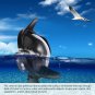 BLACK Underwater Accessories Diving Camera Lens Dome Port Cover for GoPro Hero 5