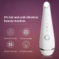 Pro Photon LED Skin Rejuvenation Red Blue Light Acne Collagen Therapy Machine
