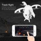 Foldable HD Camera Drone Wifi FPV Phone App Control Egg Shaped RC Quadcopter Toy