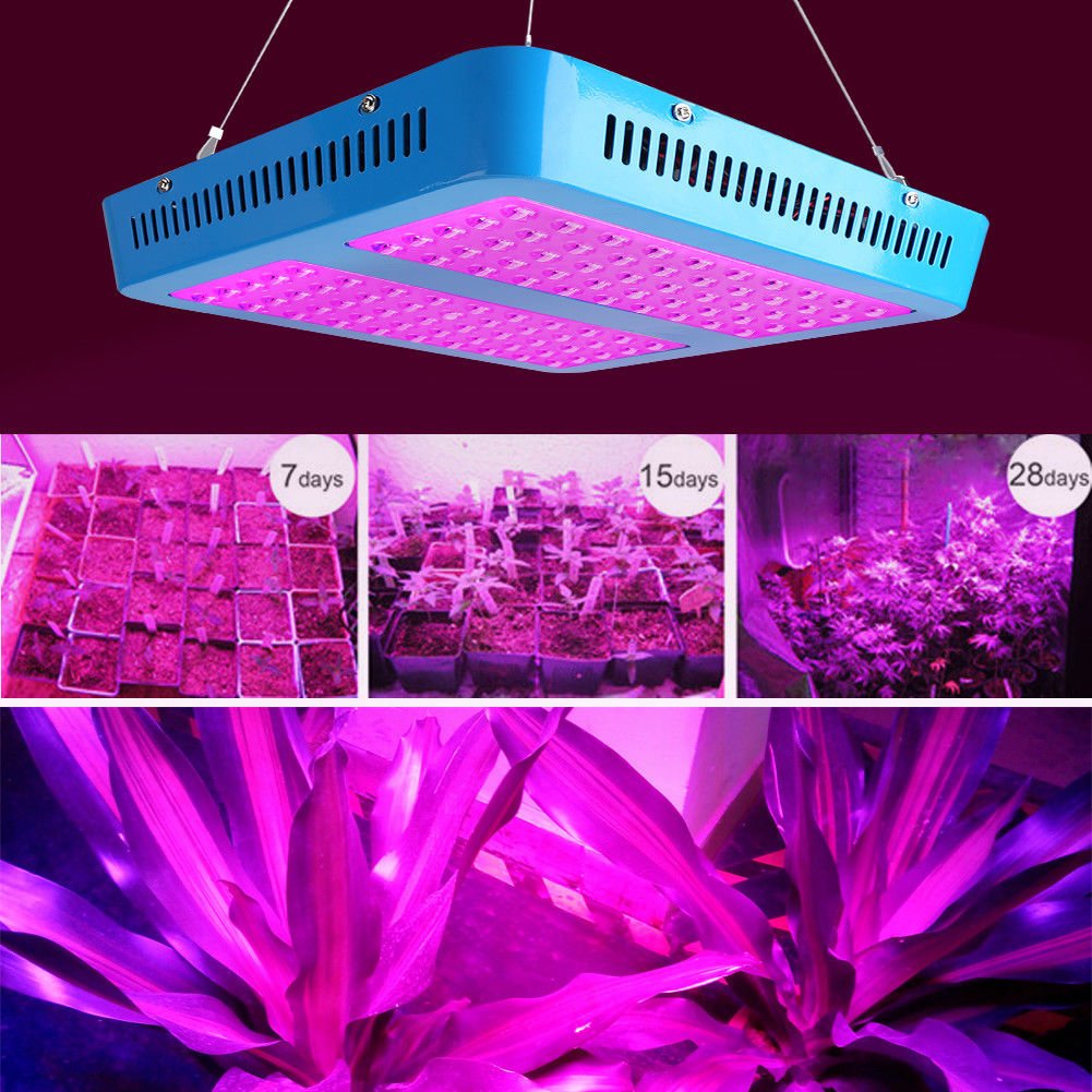 1000W Full Spectrum 100LED Plant Grow Light Bloom Lamp Indoor Greenhouse Garden