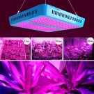 1000W Full Spectrum 100LED Plant Grow Light Bloom Lamp Indoor Greenhouse Garden