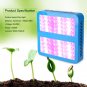 1000W Full Spectrum 100LED Plant Grow Light Bloom Lamp Indoor Greenhouse Garden