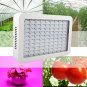 1000W Hydro LED Grow Light Lamp for Medical Plants Veg Bloom Fruit AU/EU/US/UK