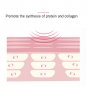 Beauty Mini Vibration Anti-wrinkle Eye Face Neck Skin Lift Spa Wrinkle Remover