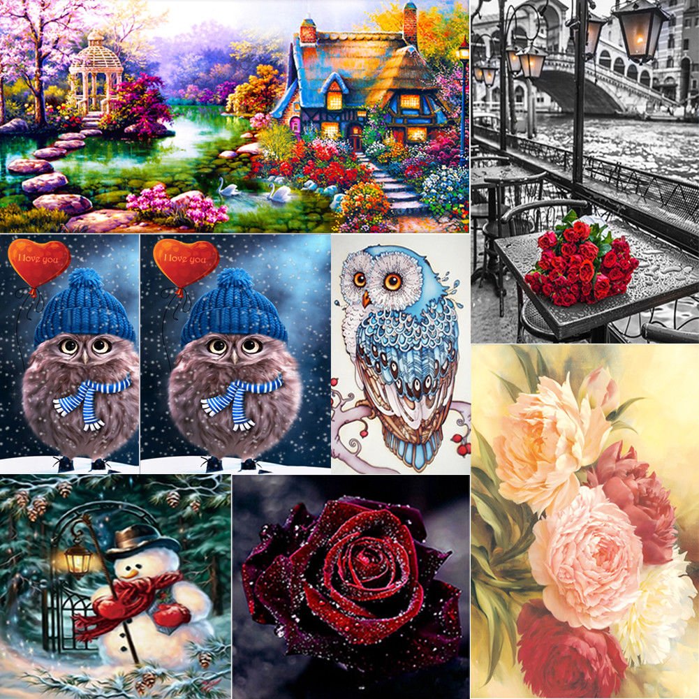 Paris Rose DIY  Diamond Embroidery Rhinestone Cross Stitch Painting Home Decor