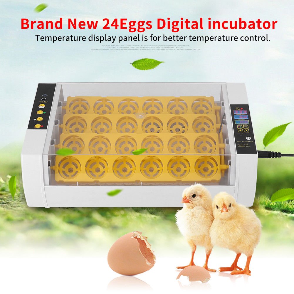 24 Eggs Incubator Temperature Control Digital Automatic Chicken Chick Hatcher US