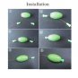 Green 20Pcs/Set Olive Shape Weights Pure Lead Sinkers Sea Fishing Tackle
