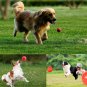 Boomer Red Ball Indestructible Solid Pet Dog Cat Puppy Rubber Play Chew Toy Gift