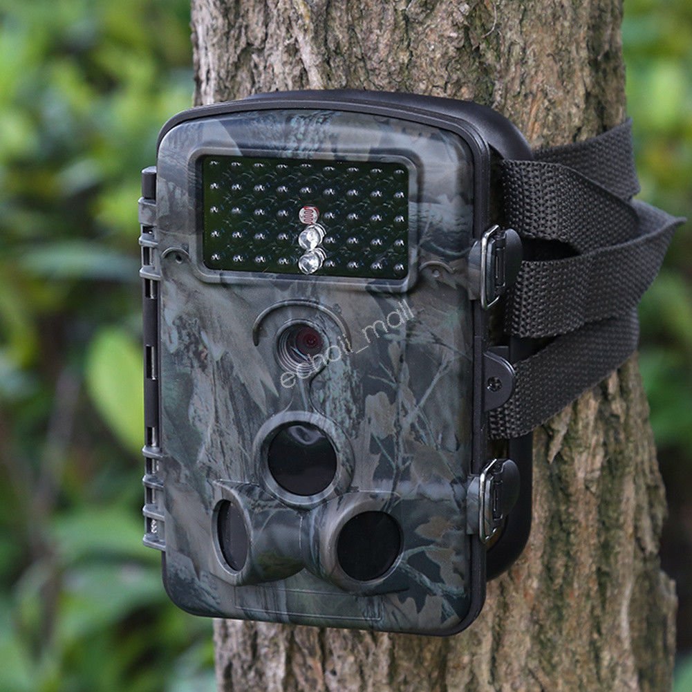 RD1000 1080P HD 12MP Scouting Trail Night Vision Game Hunting Camera in the fall