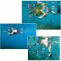 Durable 1.5mm Neoprene Gloves Diving Snorkeling Fishing Surfing Water Sport