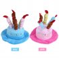 Cute Dog Pet Cat Puppy Costume Happy Birthday Hat With Cake Candles Design Party