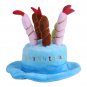 Cute Dog Pet Cat Puppy Costume Happy Birthday Hat With Cake Candles Design Party