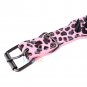 Pet Large Dog Durable Sharp Spiked Studded PU Leather PitBull Collar Size XS- L