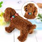 Soft Pet Collar Canvas Leather Rainbow Dog Cat Puppy Adjustable Neck Buckle