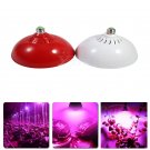 Full Spectrum 80W Red+Blue LED Plant Grow Light E27 SMD3528 LED Hydroponics Lamp
