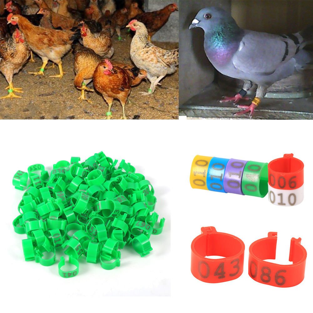 100X 16MM 001-100 Numbered Plastic Poultry Chickens Ducks Goose Leg Bands Rings