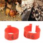 100X 16MM 001-100 Numbered Plastic Poultry Chickens Ducks Goose Leg Bands Rings